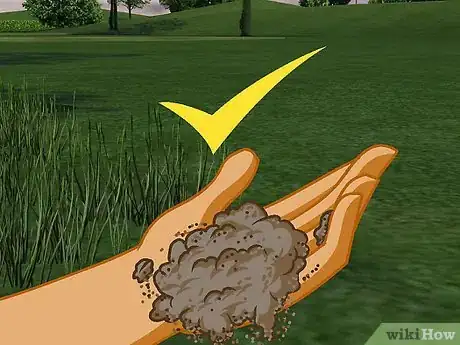 Image titled Plant a Beech Hedge Step 2