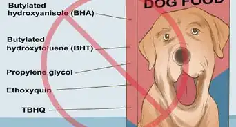 Avoid Foods Dangerous for Your Dog