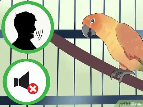 Image titled Teach a Conure to Talk Step 5