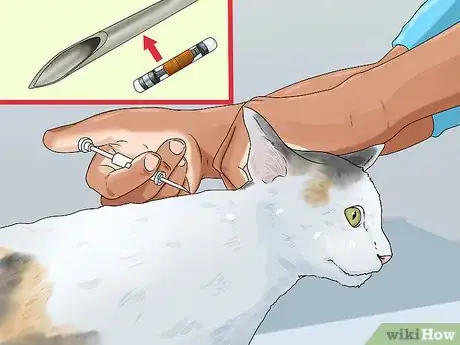 Image titled Get an ID Tag for Your Cat Step 8