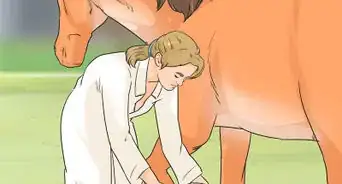 Ease Your Horse's Sore Hooves After Trimming