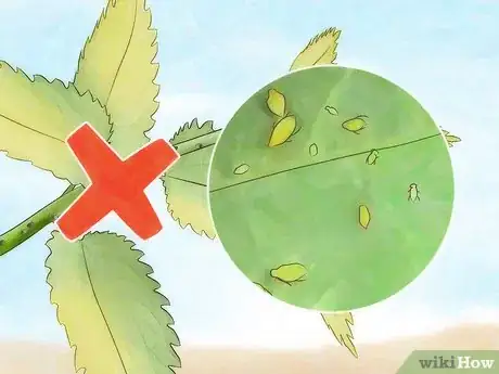 Image titled Control Ants Step 12