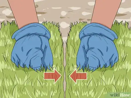 Image titled Choose Sod for Your Yard Step 15