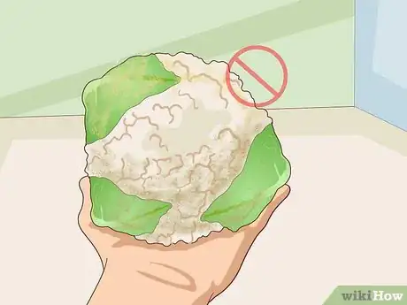 Image titled Choose Guinea Pig Food Step 10