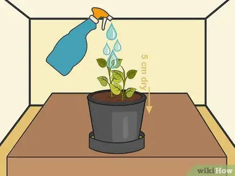 Image titled Plant Potatoes in Pots Step 16