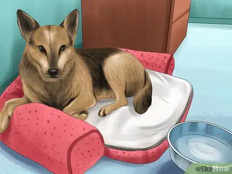 Image titled Track the Development of New Puppies Step 11