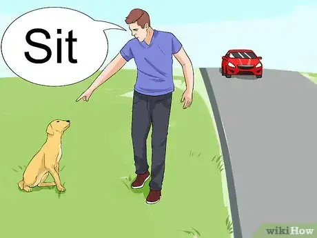 Image titled Keep a Dog from Chasing Cars Step 4