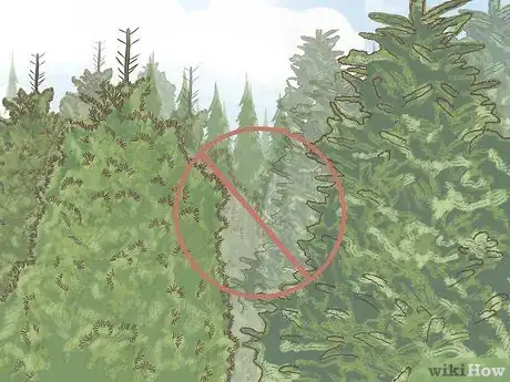 Image titled Hang Heavy Ornaments on a Real Tree Step 10