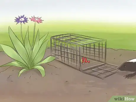 Image titled Discourage Skunks in Your Garden Step 7