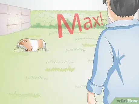 Image titled Choose Your Guinea Pig's Name Step 5