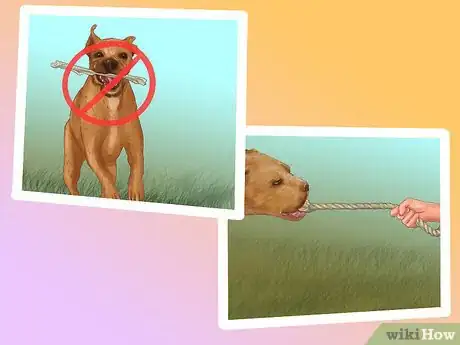 Image titled Keep Your Senior Dog Safe Around Young Kids Step 2