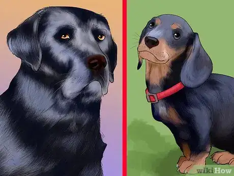 Image titled Watch a Dog for Stiff or Limp Movements Step 9