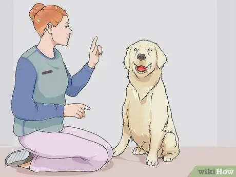 Image titled Have a Successful First Day with a New Dog Step 10