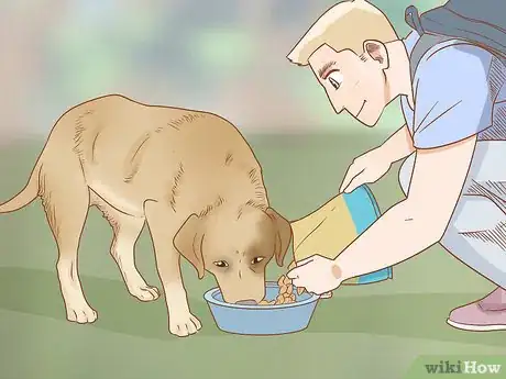 Image titled Take Your Dog Camping Step 11