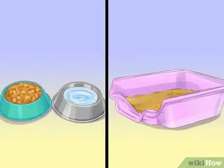 Image titled Help Your Cat Age Well Step 9