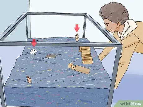 Image titled Buy a Gerbil Step 9
