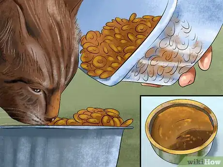 Image titled Feed a Fussy Cat Step 5