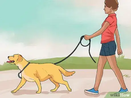 Image titled Keep a Dog from Chasing Cars Step 3