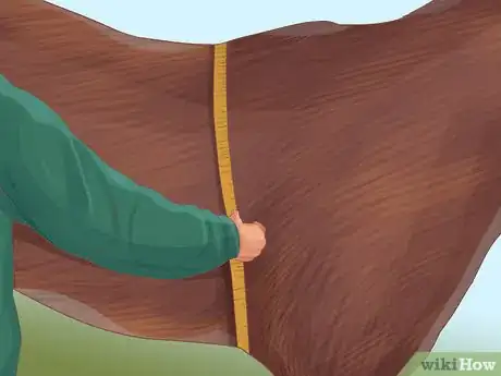 Image titled Monitor a Horse's Weight in Winter Step 2