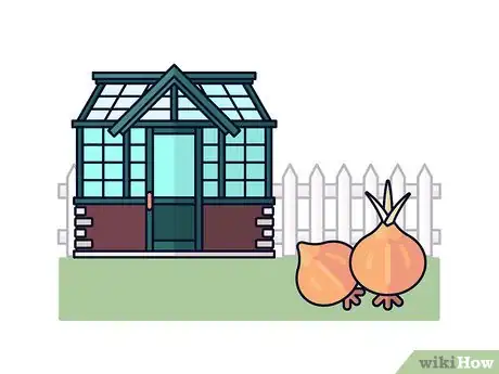 Image titled Grow Saffron Step 1