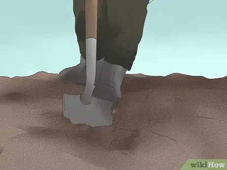 Image titled Grow Poppies Step 5