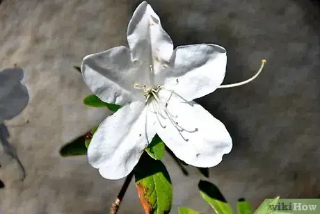 Image titled Argue for the Existence of God Step 6