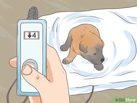 Image titled Prevent Disease in Orphaned Newborn Puppies Step 10