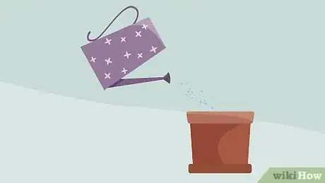 Image titled Plant Oxalis Step 4