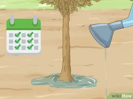 Image titled Plant a Mesquite Tree Step 16