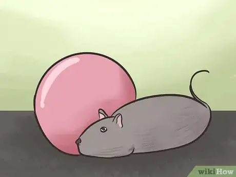 Image titled Keep a Cat Indoors Step 6