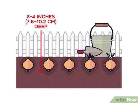 Image titled Grow Saffron Step 7