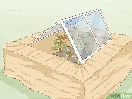 Image titled Grow Food in Winter Step 2