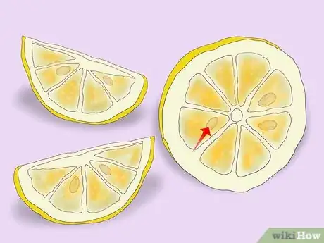 Image titled Plant a Lemon Seed Step 5