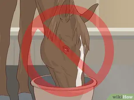 Image titled Walk a Colicking Horse Step 7