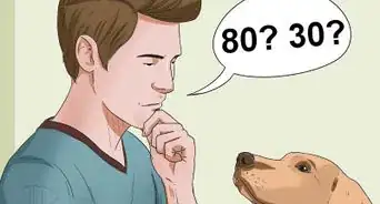 Calculate Dog Years