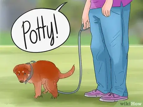 Image titled Keep Your Dog Comfortable Indoors Step 14