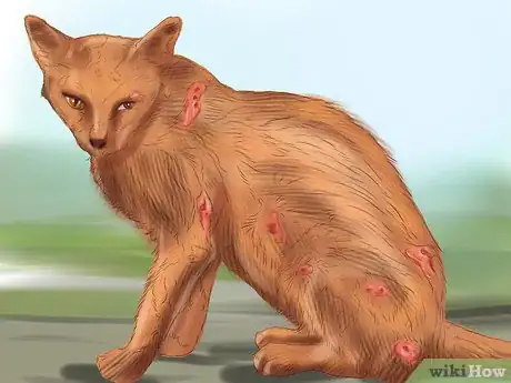 Image titled Prevent Infection from Toxoplasmosis Step 9