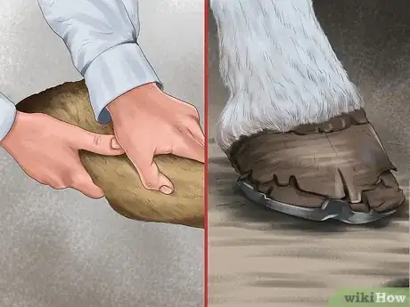 Image titled Spot Early Signs of Lameness in Horses Step 2