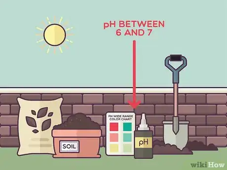 Image titled Plant Daylilies Step 4