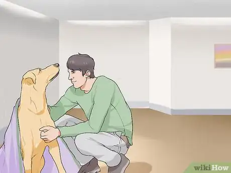 Image titled Handle New Noise Phobias in Older Dogs Step 3