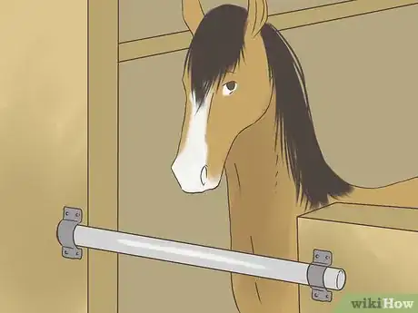 Image titled Get a Horse Fit Step 10