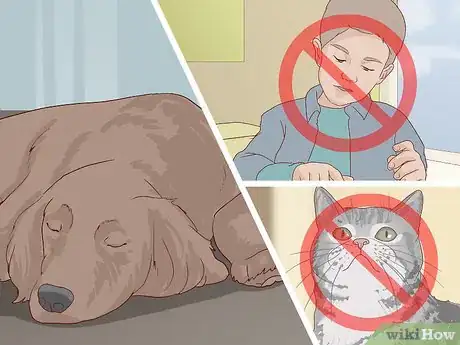 Image titled Treat Cardiac Disease in Older Dogs Step 11