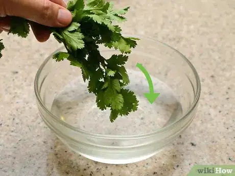 Image titled Freeze Cilantro Step 2