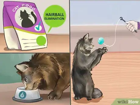 Image titled Take Care of Your Long Haired Maine Coon Step 13