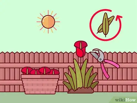 Image titled Prune Tulips Step 3