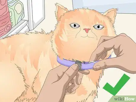 Image titled Buy a Collar for Your Cat Step 5