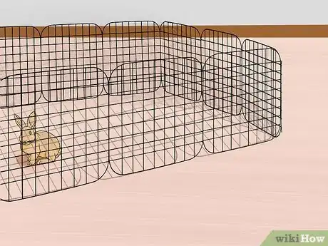 Image titled Care for Palomino Rabbits Step 3