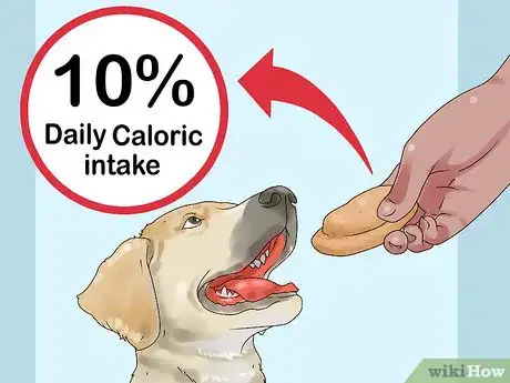 Image titled Give Your Dog a Treat Step 12