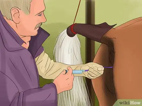 Image titled Breed Dairy Cattle Step 2