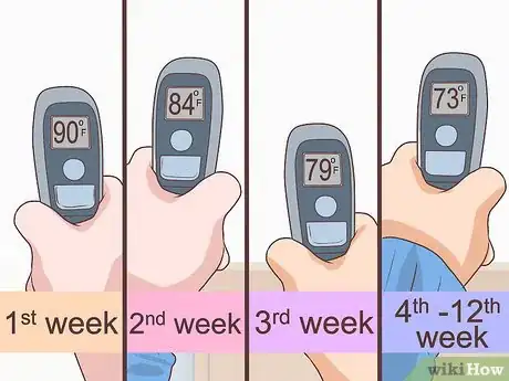 Image titled Prevent Disease in Orphaned Newborn Puppies Step 11